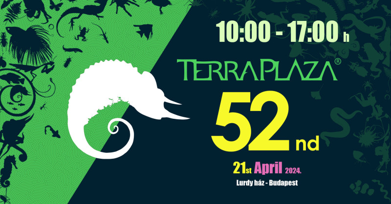 10:00-17:00 TerraPlaza