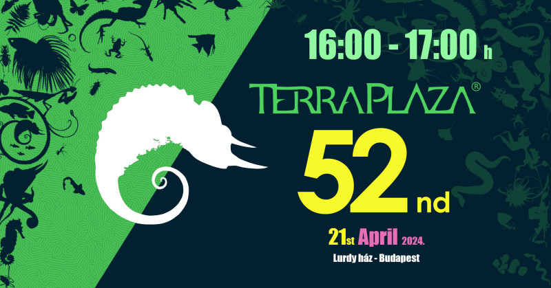 16:00-17:00 TerraPlaza