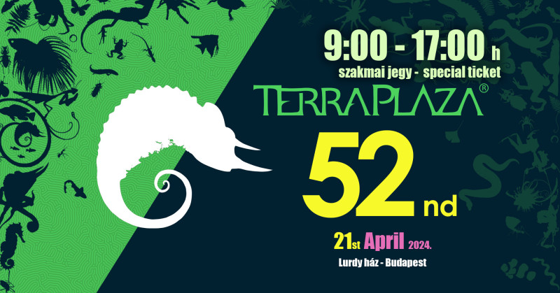 9:00 - 17:00 Szakmai jegy TerraPlaza
