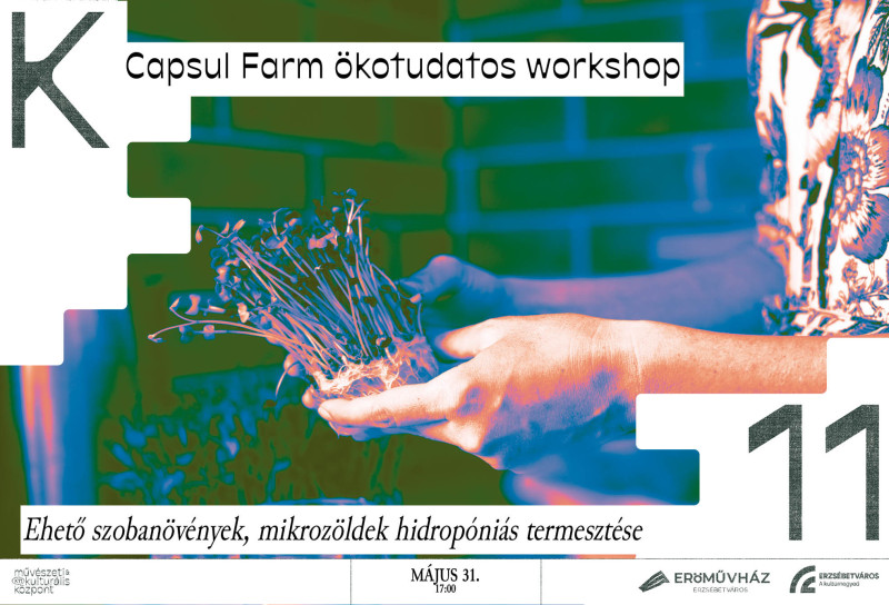 Capsul Farm ökotudatos workshop - Ehető szobanövények, mikrozöldek hidropóniás termesztése 