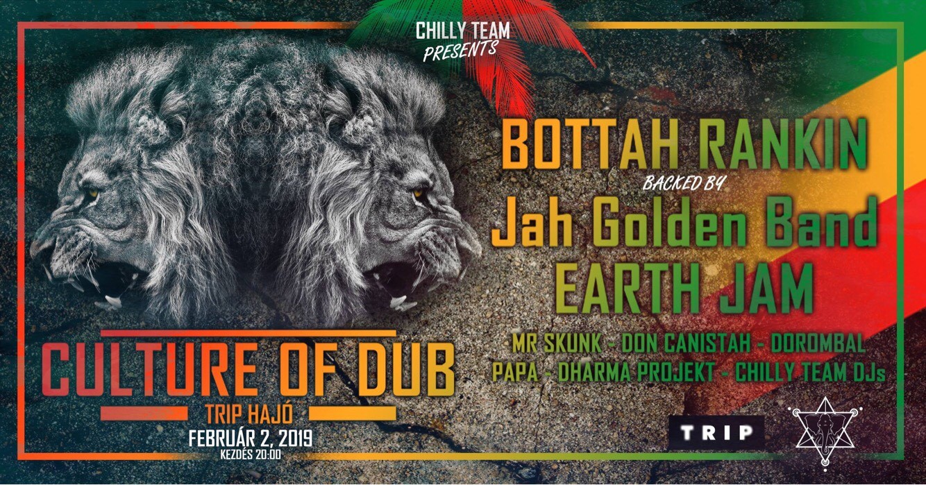 Chily Team Presents: Culture Of Dub