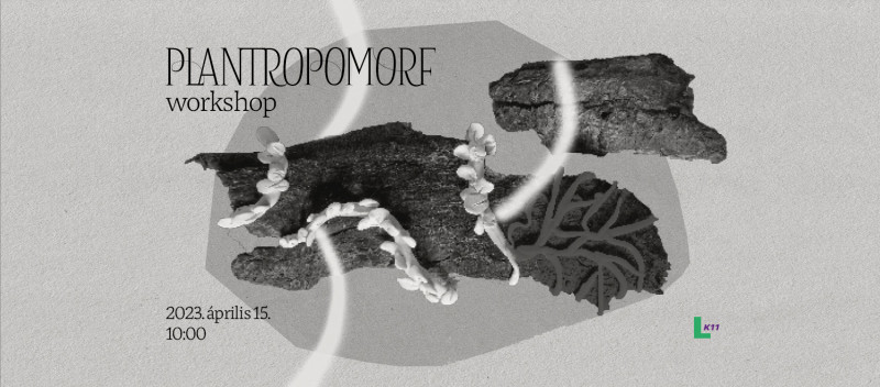 Plantropomorf grafikai workshop