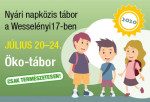 Nyári napközis tábor - Öko tábor
