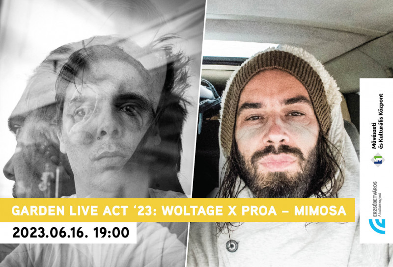 Woltage X ProA - Mimosa // Garden Live Act ‘23